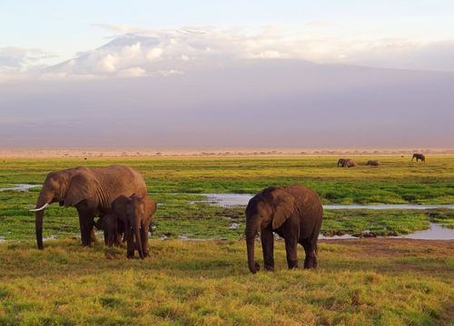 10 Days Best of Kenya Private Safari