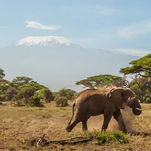 Amboseli National Park