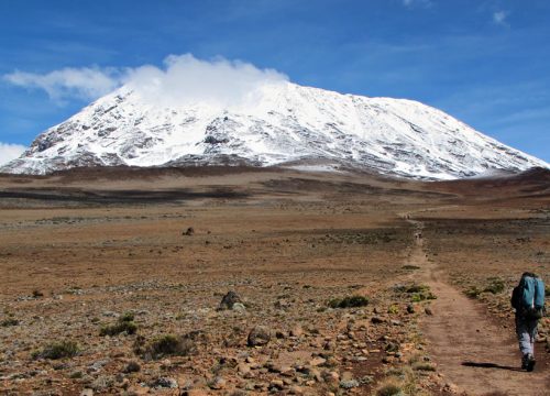 7 Days Climb Mount Kilimanjaro Safari