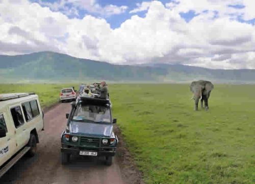 4 Days Tanzania Private Safari