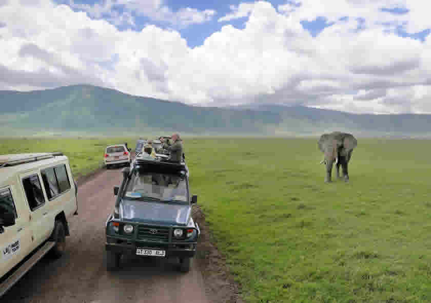 4 Days Tanzania Private Safari