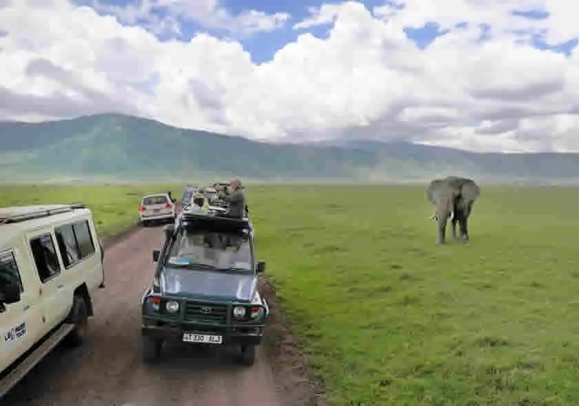 ngorongoro